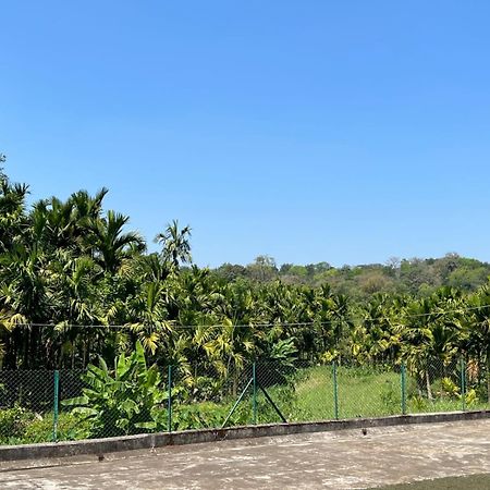Emerald Castle Villa Madikeri Kültér fotó