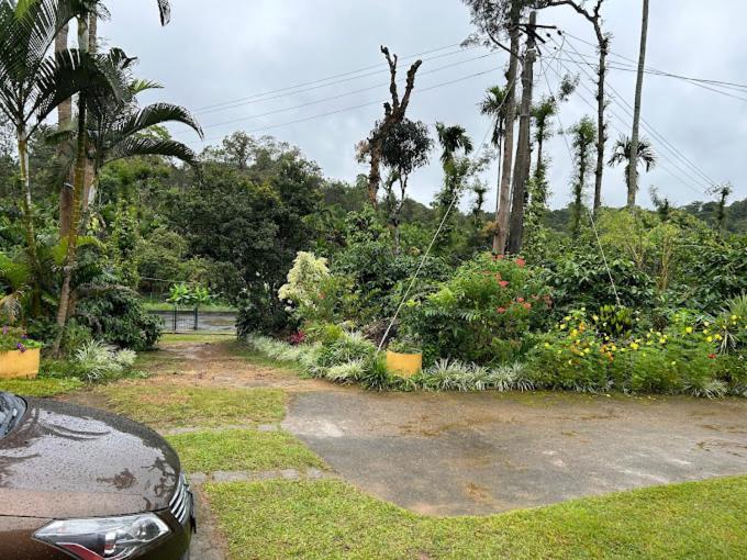Emerald Castle Villa Madikeri Kültér fotó