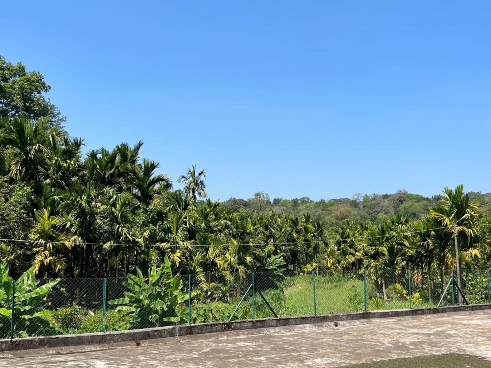 Emerald Castle Villa Madikeri Kültér fotó